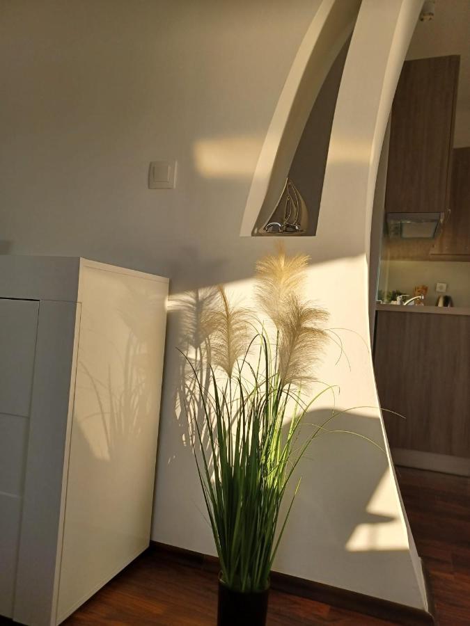 Apartament Niko 1 Mali Lošinj Zewnętrze zdjęcie
